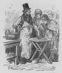 Oyster Merchant